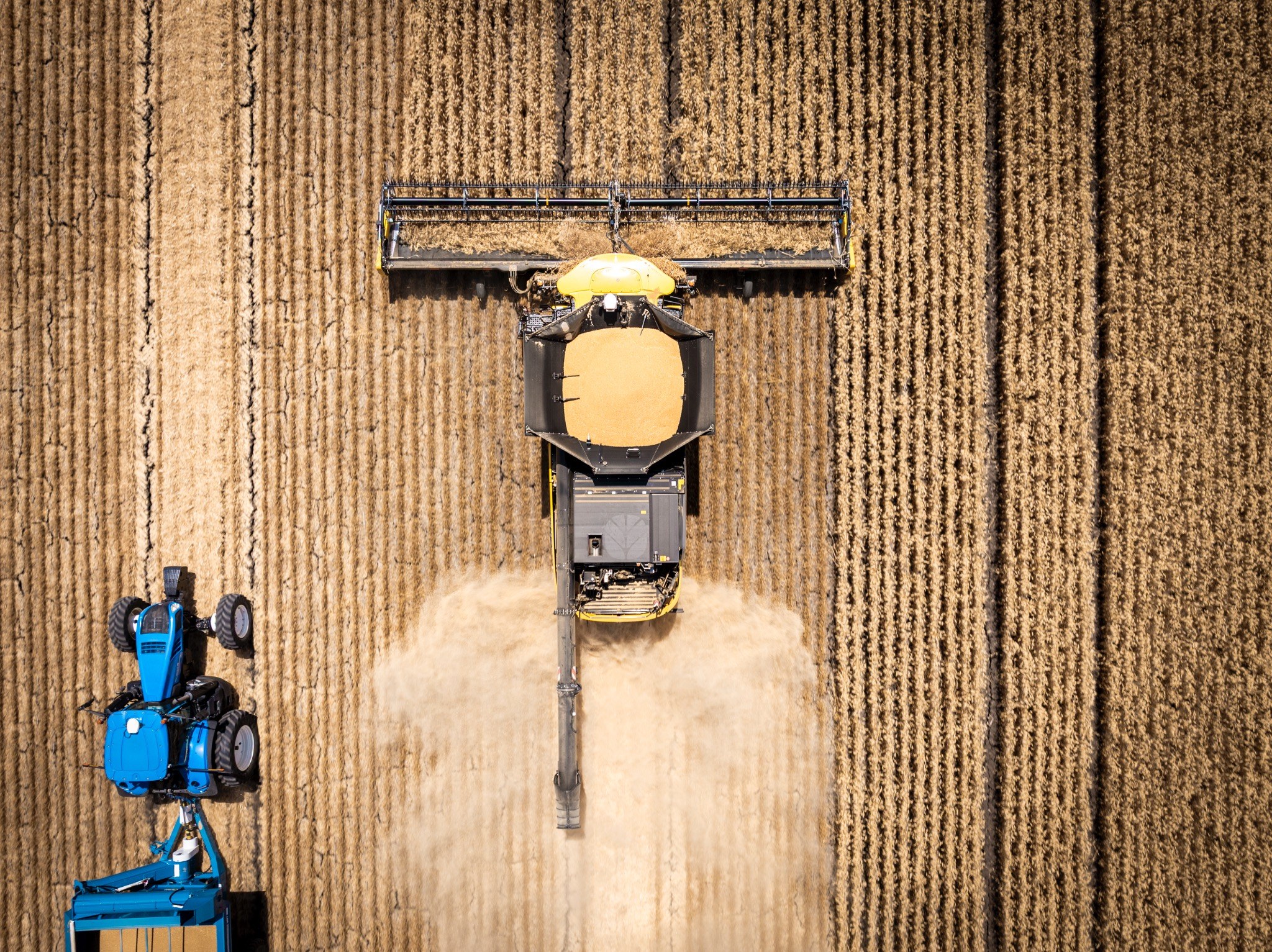 CropScan-New-Holland-Harvest-2560 Aerial view of a combine harvester and tractor harvesting a grain field
